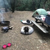 Review photo of Uvas Canyon County Park by Darin D., June 29, 2018