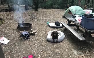 Darin D.'s photo of tent camping at Uvas Canyon County Park near Hollister, CA