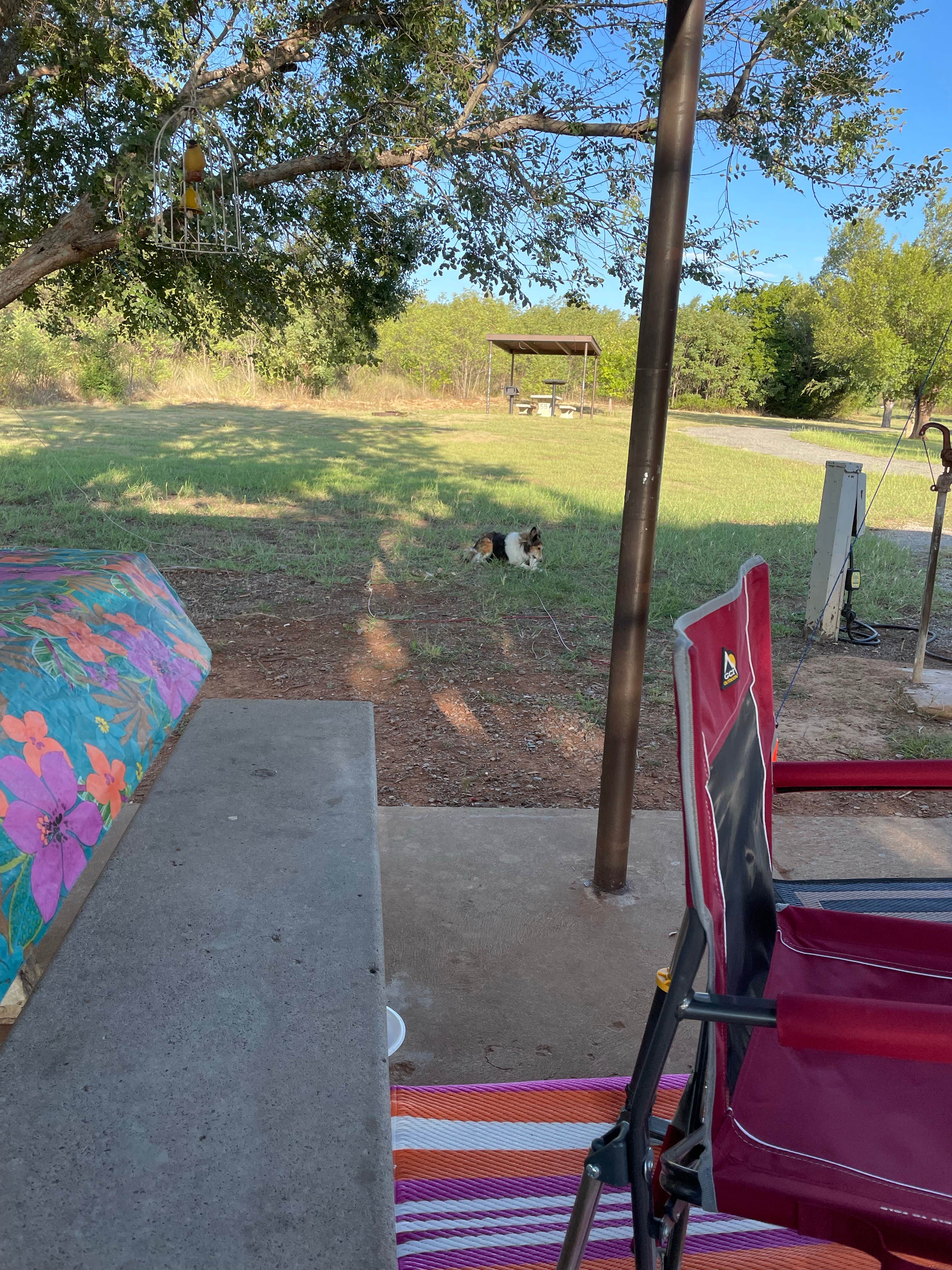 N L.'s photo of camping with pets at COE Fort Supply Lake Supply Park near Fort Supply Lake