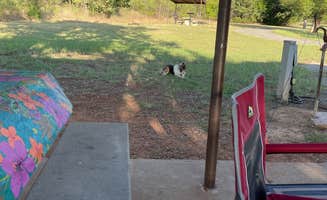 N L.'s photo of camping with pets at COE Fort Supply Lake Supply Park near Freedom, OK