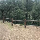 Review photo of Uvas Canyon County Park by Darin D., June 29, 2018