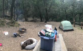 Darin D.'s photo at Uvas Canyon County Park near San Jose, CA