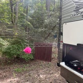 Review photo of Martinak State Park Campground by Saskia H., September 17, 2021