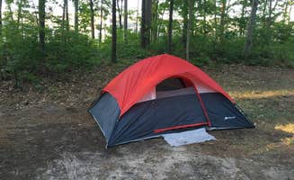 Judy B.'s photo at Traverse City State Park Campground near Traverse City, MI