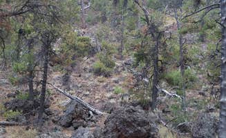 Dexter I.'s photo at Craters of the Moon Wilderness — Craters of the Moon National Monument in Idaho