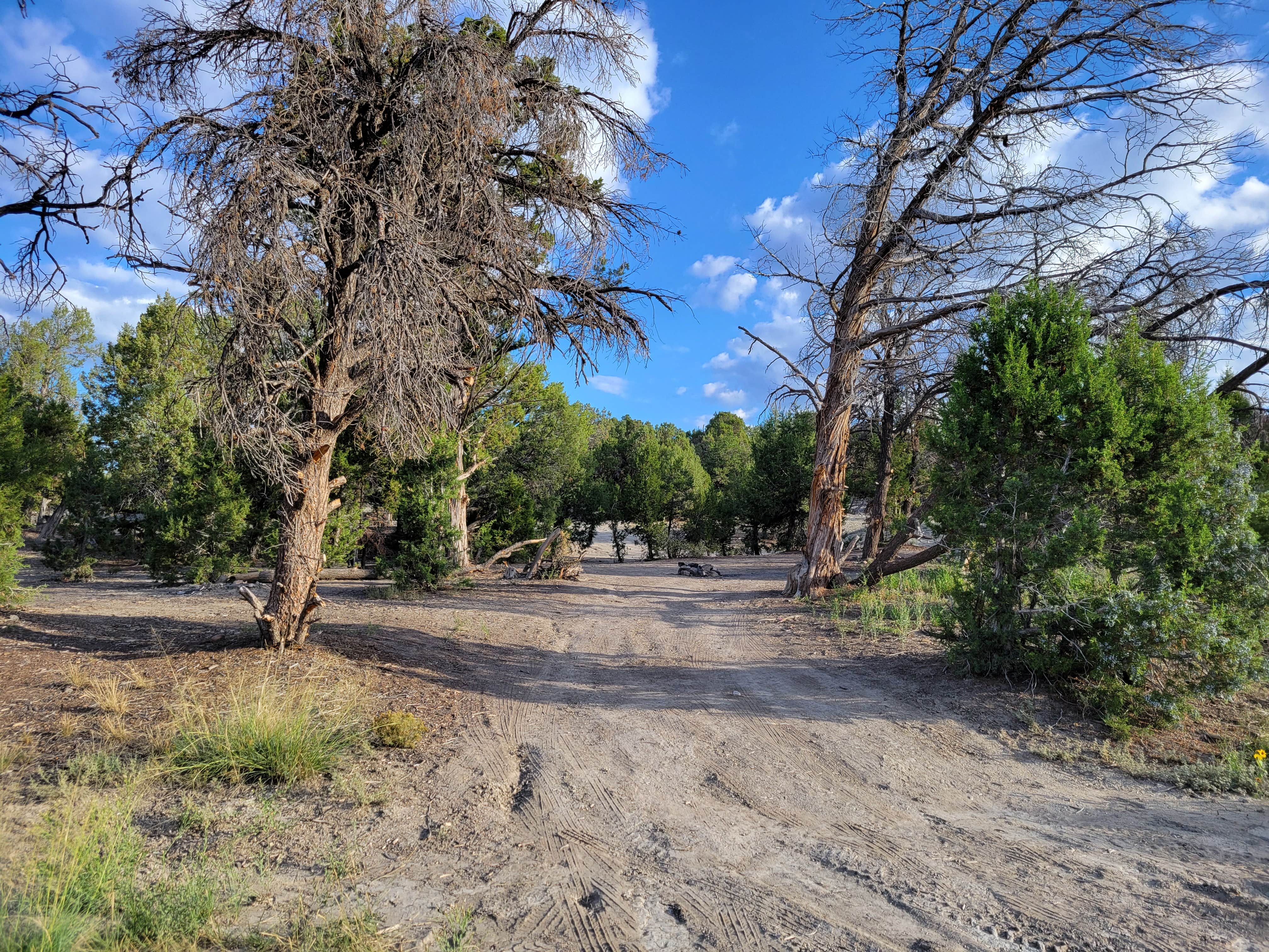 Camper submitted image from Mesa Verde National Park Boundary (BLM Land) - 3