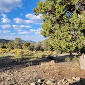 Review photo of Mesa Verde National Park Boundary (BLM Land) by Jake S., September 17, 2021