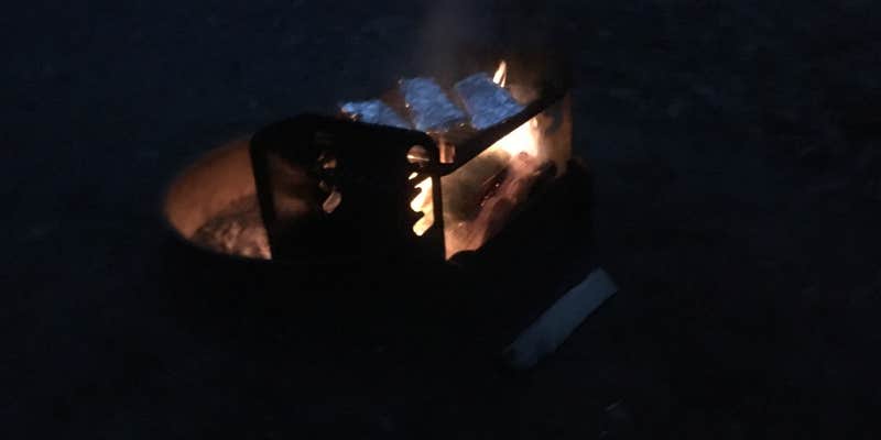 Camper submitted image from Daughters of the American Revolution (DAR) State Forest Campground