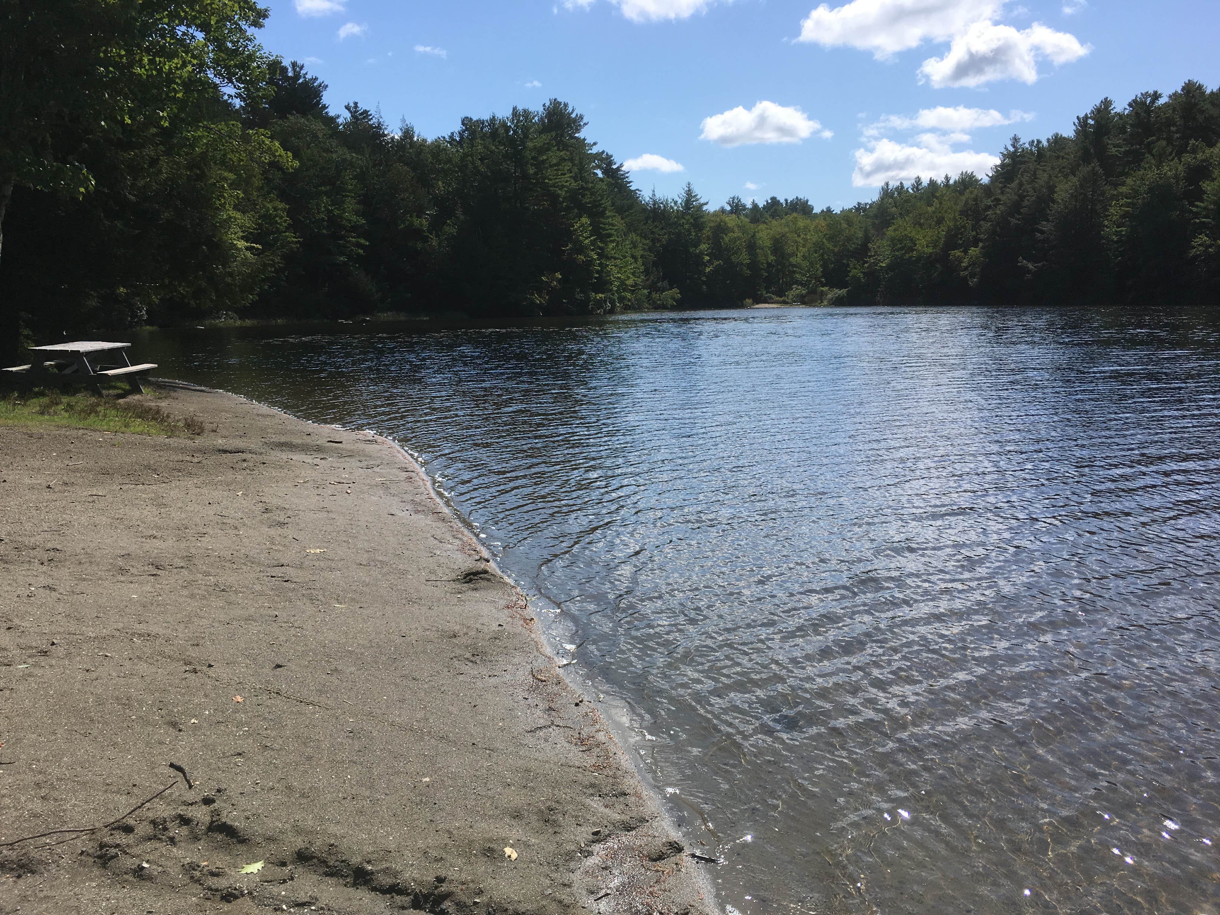 Camper submitted image from Daughters of the American Revolution (DAR) Campground — D.A.R. State Forest - 2