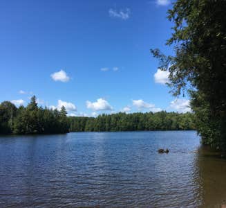 Camper-submitted photo from Daughters of the American Revolution (DAR) Campground — D.A.R. State Forest