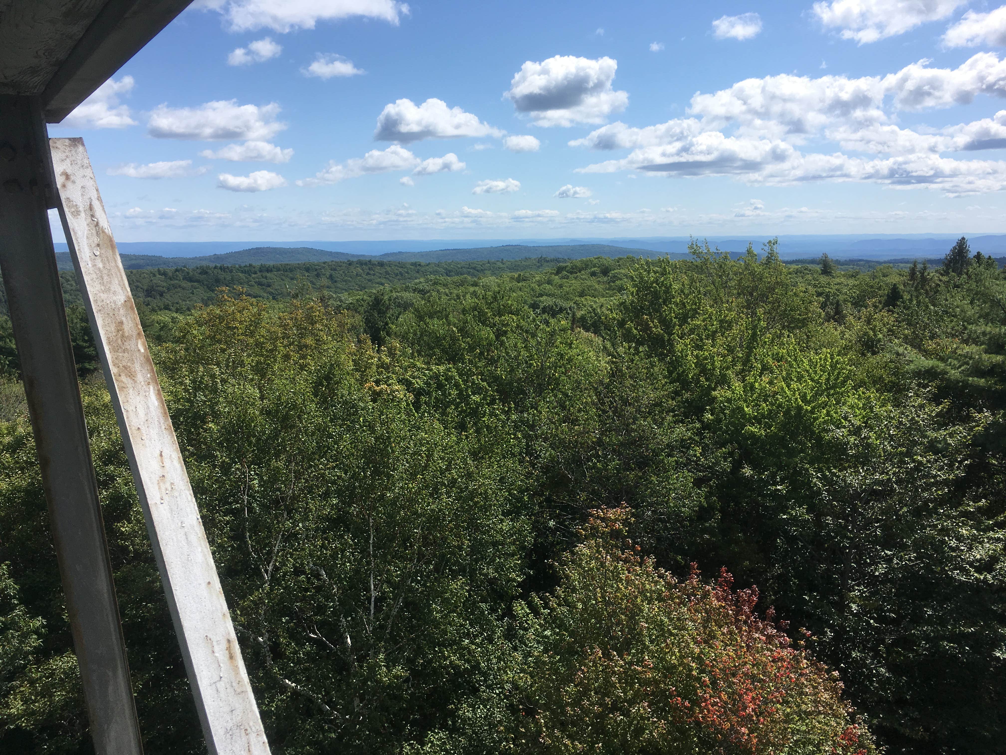 Camper-submitted photo at Daughters of the American Revolution (DAR) State Forest Campground near Greenfield, MA