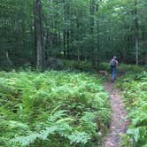 Review photo of Daughters of the American Revolution (DAR) Campground — D.A.R. State Forest by Alan , September 17, 2021