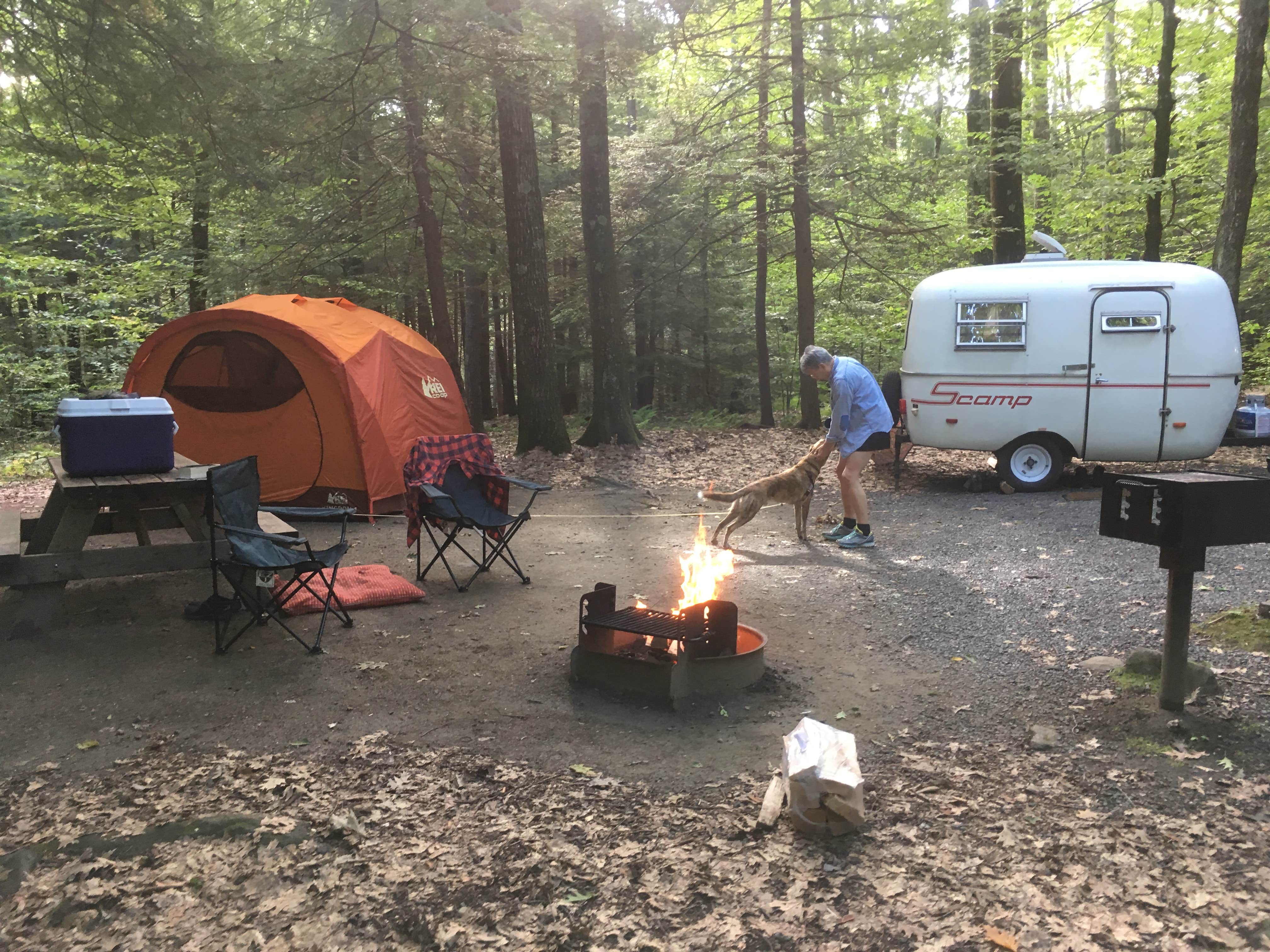 Alan's photo at Daughters of the American Revolution (DAR) State Forest Campground near Greenfield, MA