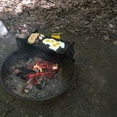 Review photo of Daughters of the American Revolution (DAR) Campground — D.A.R. State Forest by Alan , September 17, 2021