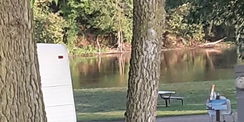 Camper submitted image from Shamrock Park