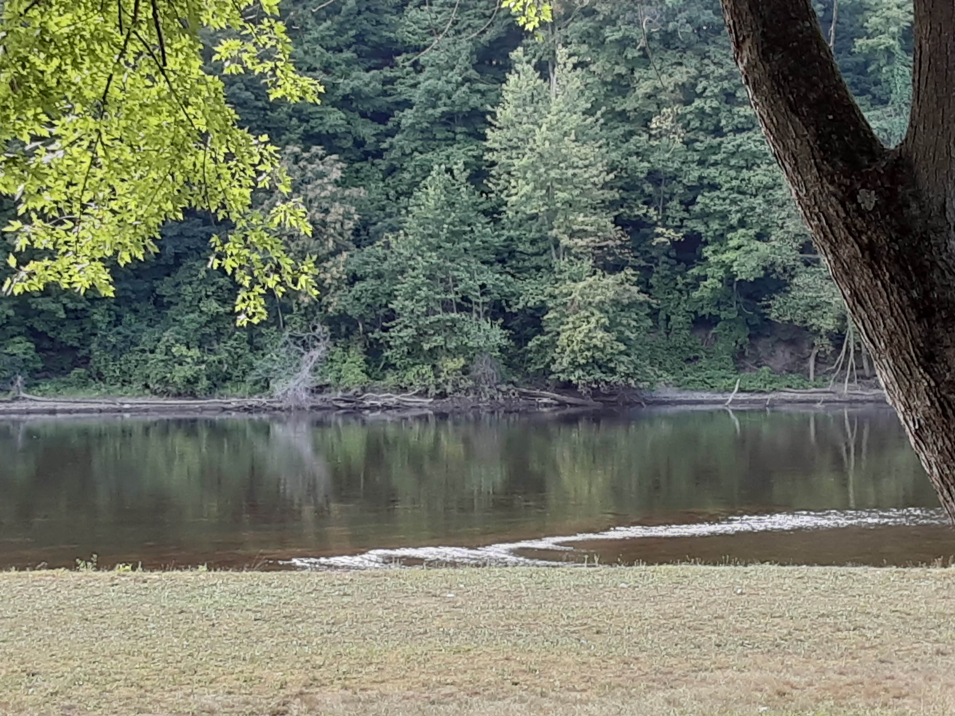 Stevensville photo 4