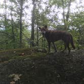 Review photo of Wells State Park Campground by Alan , September 17, 2021