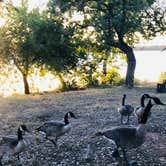 Review photo of Inks Lake State Park Campground by Eric n Erika B., September 17, 2021