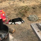 Review photo of Tree Of Heaven Campground by Darin D., June 29, 2018