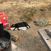 Review photo of Tree of Heaven Campground by Darin D., June 29, 2018