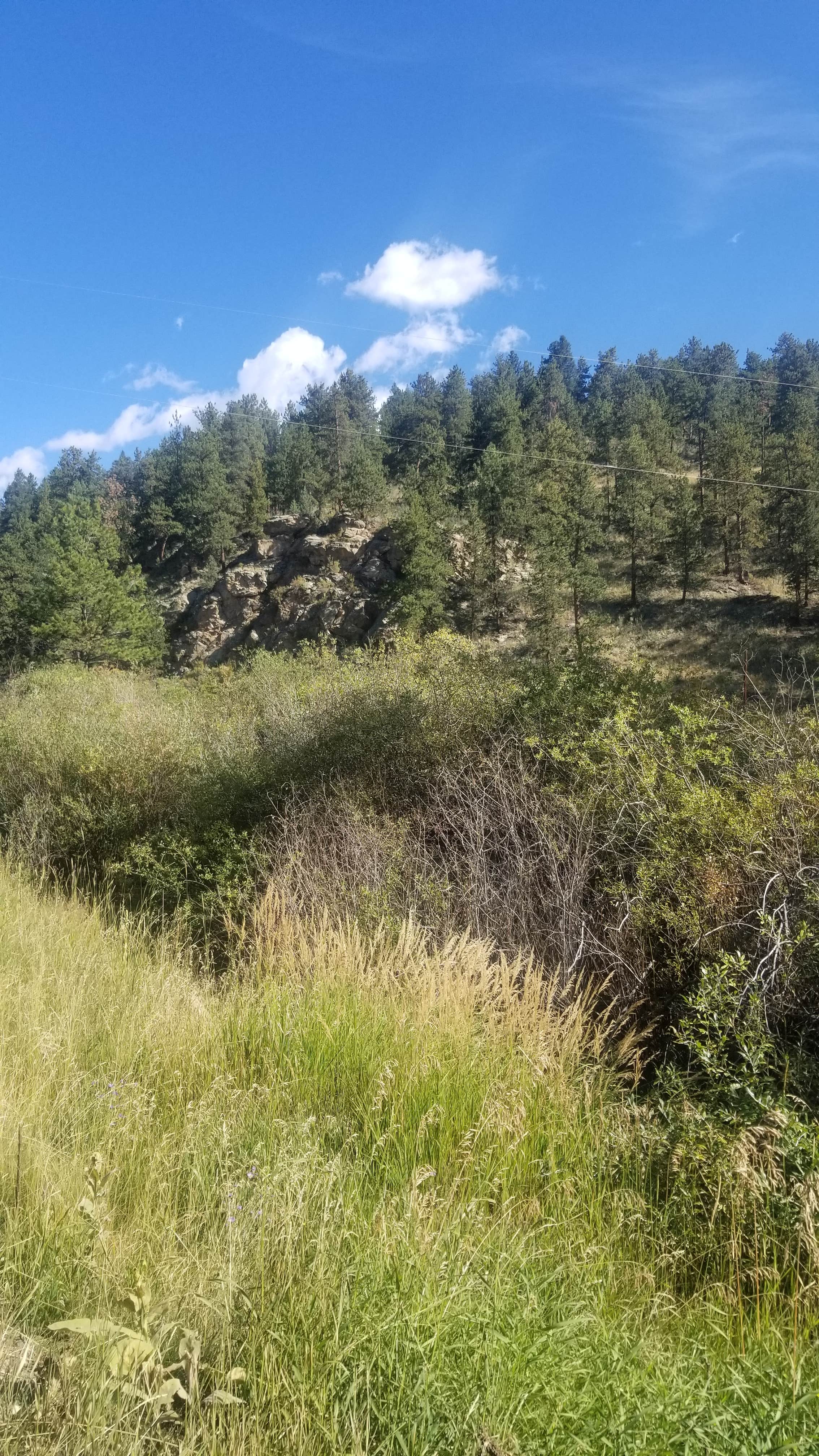 Camping near Closed: Rainbow Trout Ranch and Campground, Conifer, Colorado