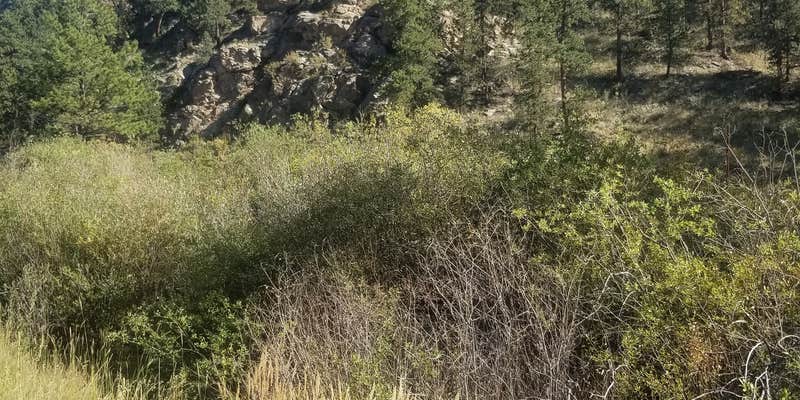 Camper submitted image from Rainbow Trout Ranch and Campground