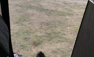 mars R.'s photo of camping with pets at Henry's Lake BLM Dispersed in Idaho