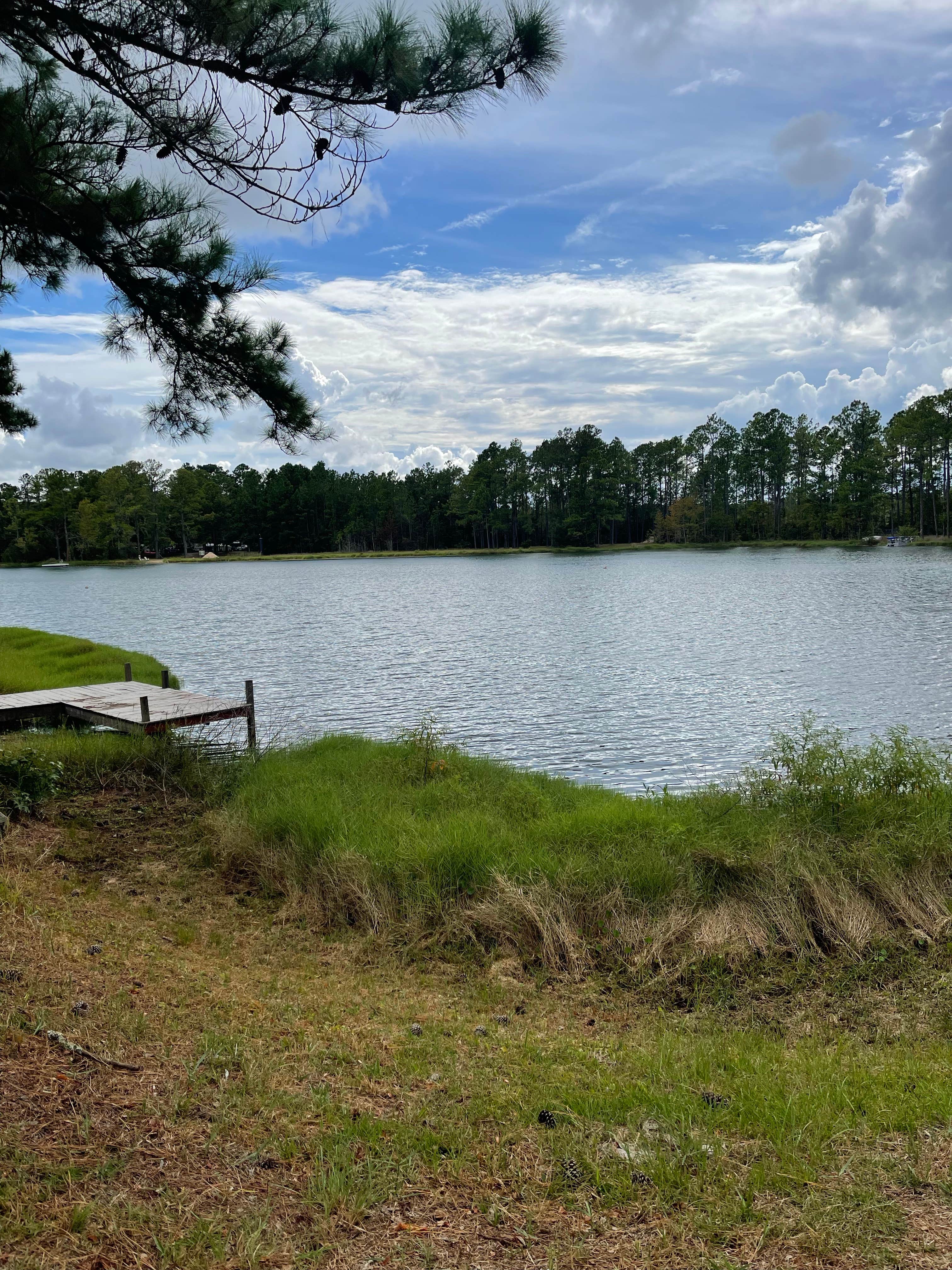 Camper submitted image from Mcintosh Lake RV Park - 4