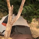 Review photo of Tree Of Heaven Campground by Darin D., June 29, 2018