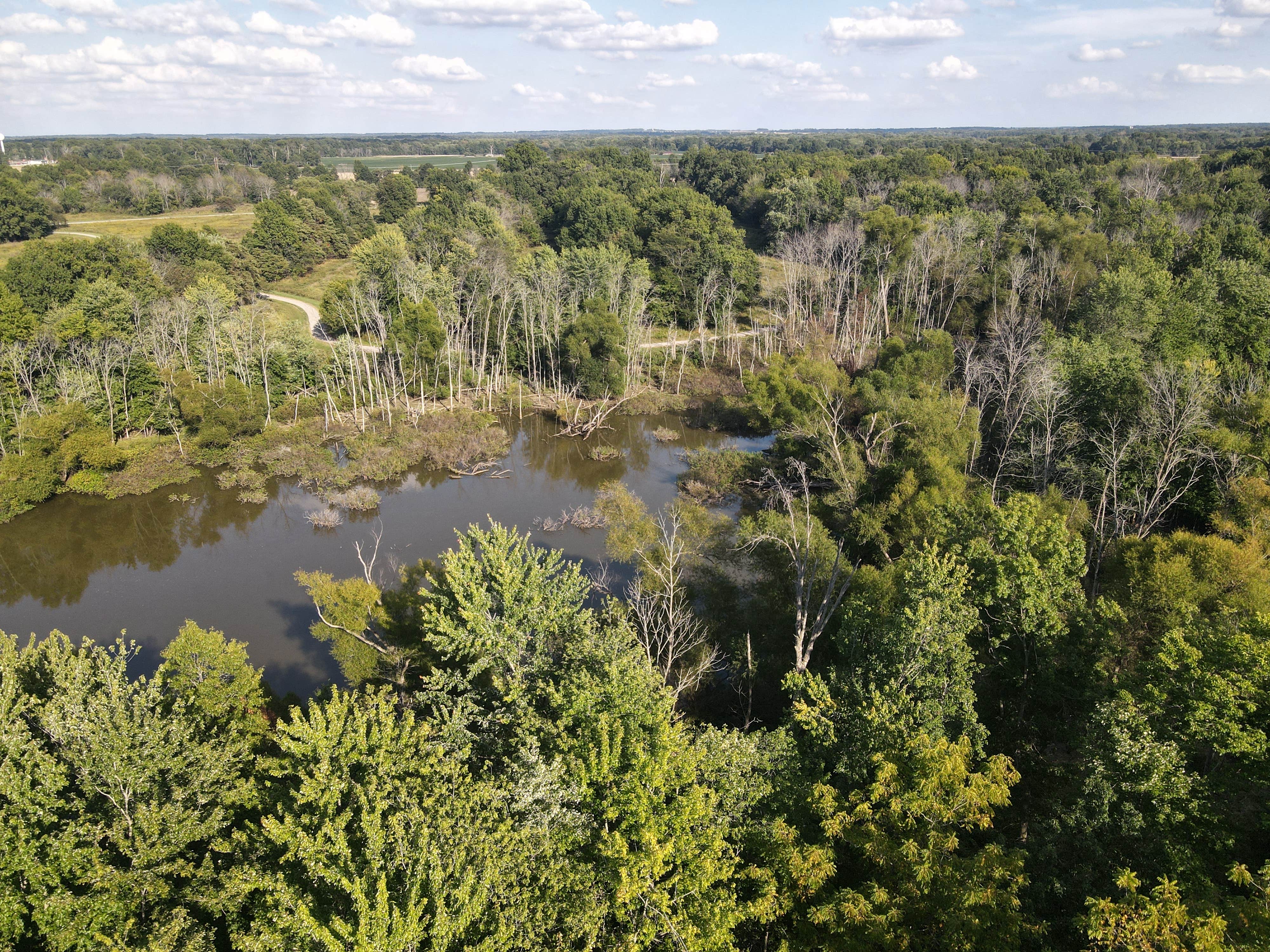 Camper-submitted photo at Wayne Fitzgerrell State Park Campground near Whittington, IL