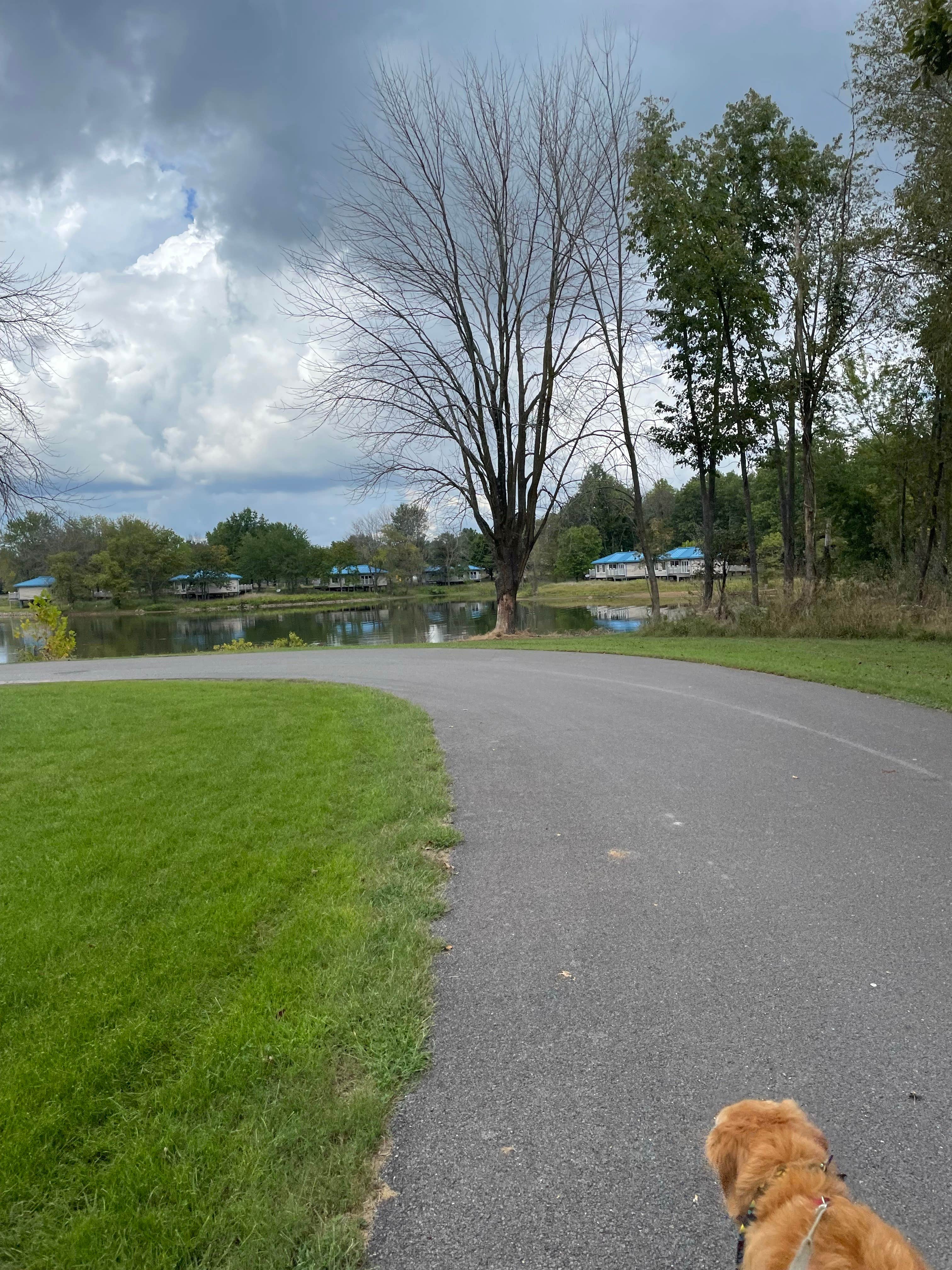 Bill P.'s photo of camping with pets at Wayne Fitzgerrell State Park Campground near Johnsonville, IL