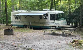Ron's photo of rv camping at Stuart Recreation Area near Belington, WV