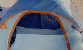 Madre S.'s photo at Stewart’s Point Dispersed Camping — Lake Mead National Recreation Area in Nevada