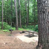Review photo of Mission Tejas State Park Campground by Susan L., September 17, 2021