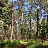 Review photo of Mission Tejas State Park Campground by Susan L., September 17, 2021