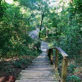 Review photo of Mission Tejas State Park Campground by Susan L., September 17, 2021