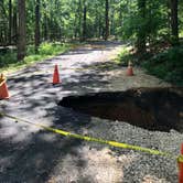 Review photo of Mission Tejas State Park Campground by Susan L., September 17, 2021