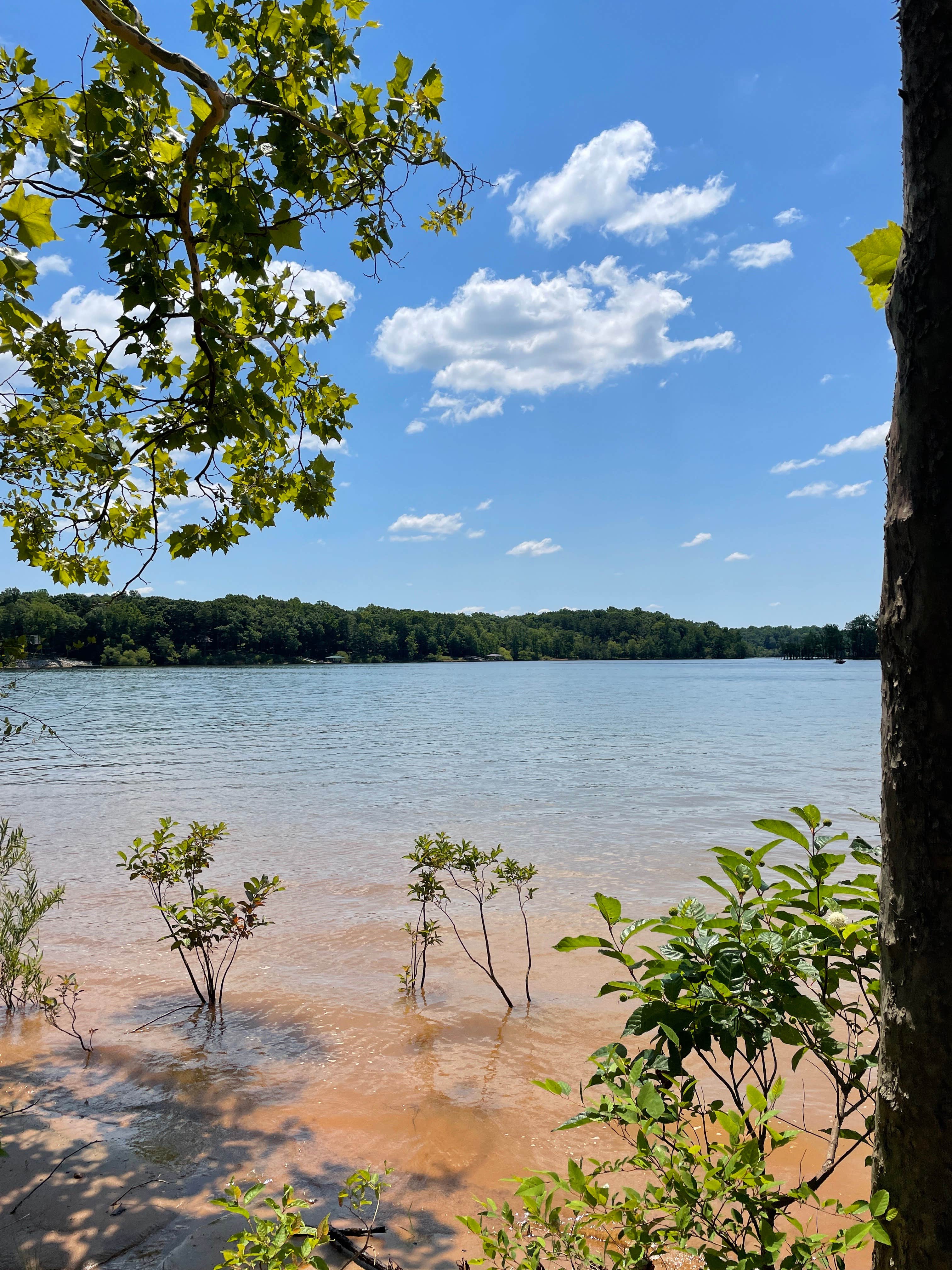 Camper submitted image from Nutbush Bridge — Kerr Lake State Recreation Area - 3