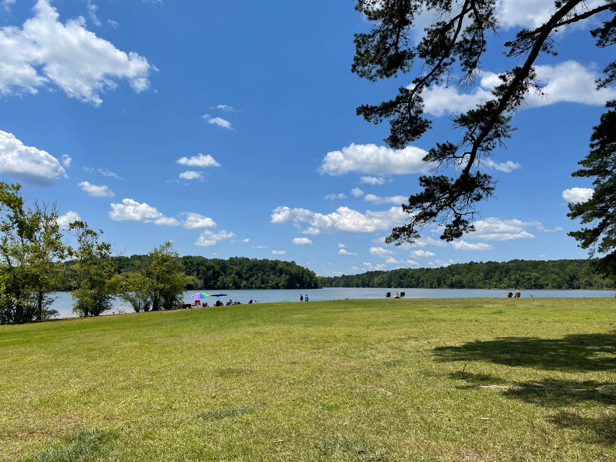 Nutbush Bridge State Rec Area Camping 