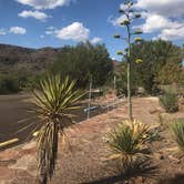 Review photo of Davis Mountains State Park by Susan L., September 17, 2021