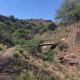 Review photo of Davis Mountains State Park Campground by Susan L., September 17, 2021