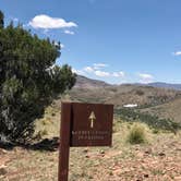 Review photo of Davis Mountains State Park Campground by Susan L., September 17, 2021