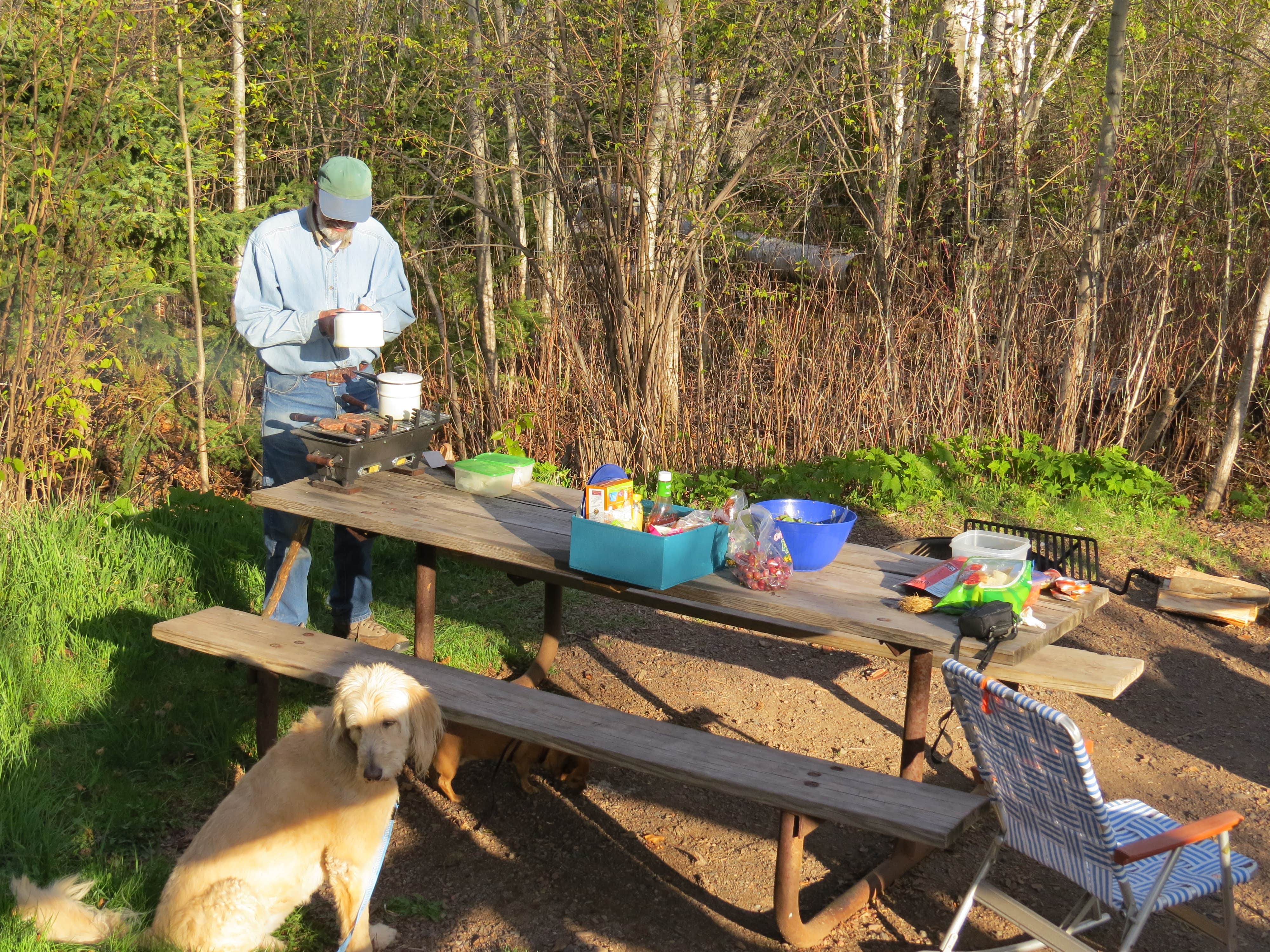 MARY K.'s photo of camping with pets at Baptism River Campground — Tettegouche State Park near Two Harbors, MN