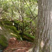 Review photo of Baptism River Campground — Tettegouche State Park by MARY K., September 17, 2021