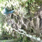 Review photo of Baptism River Campground — Tettegouche State Park by MARY K., September 17, 2021