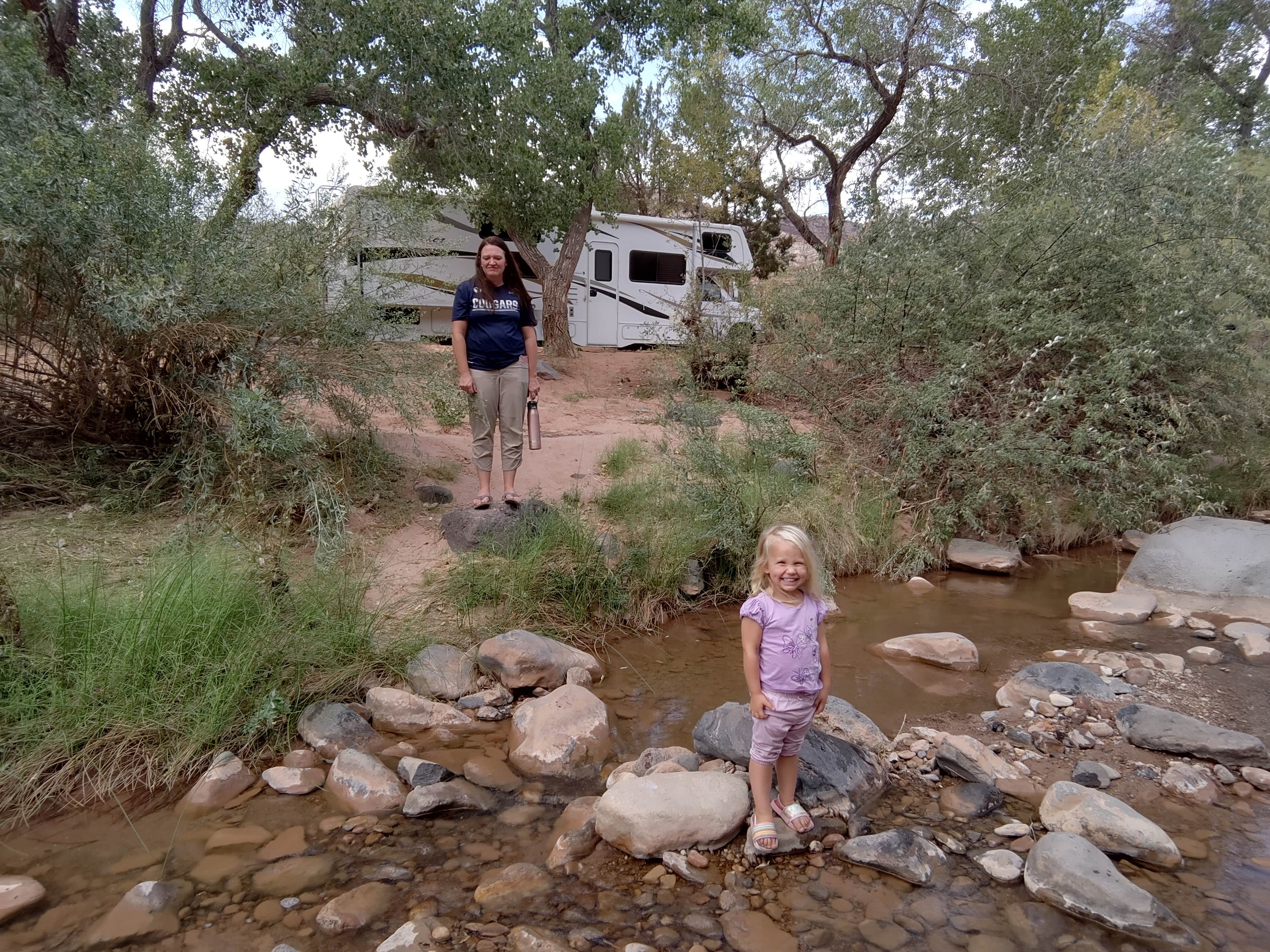 Camper submitted image from North Creek Dispersed Camping - 2