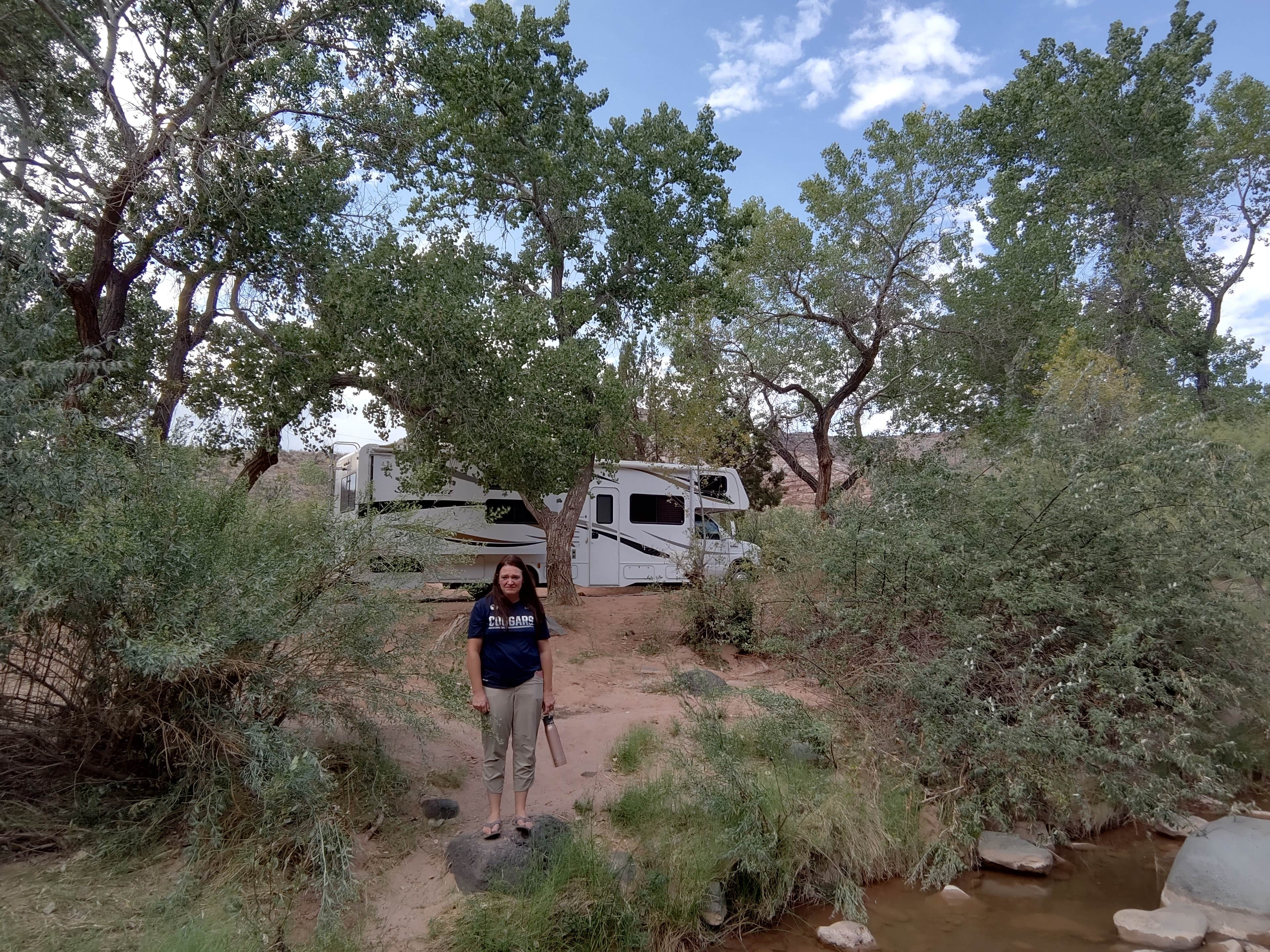Camper submitted image from North Creek Dispersed Camping - 5