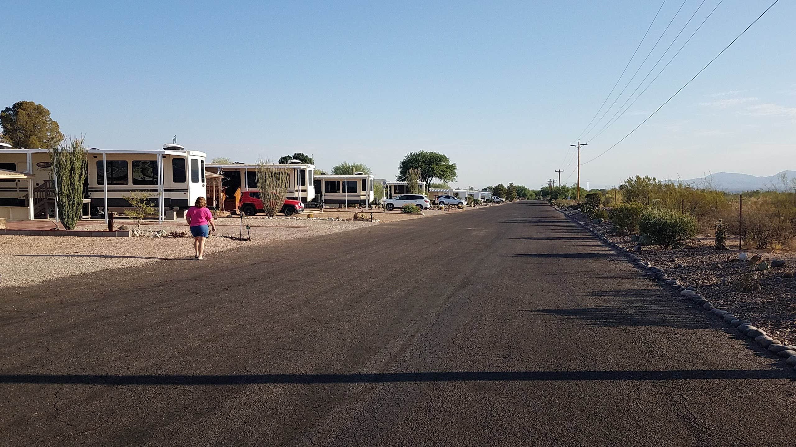 Camper submitted image from SKP Saguaro Co-Op - 1