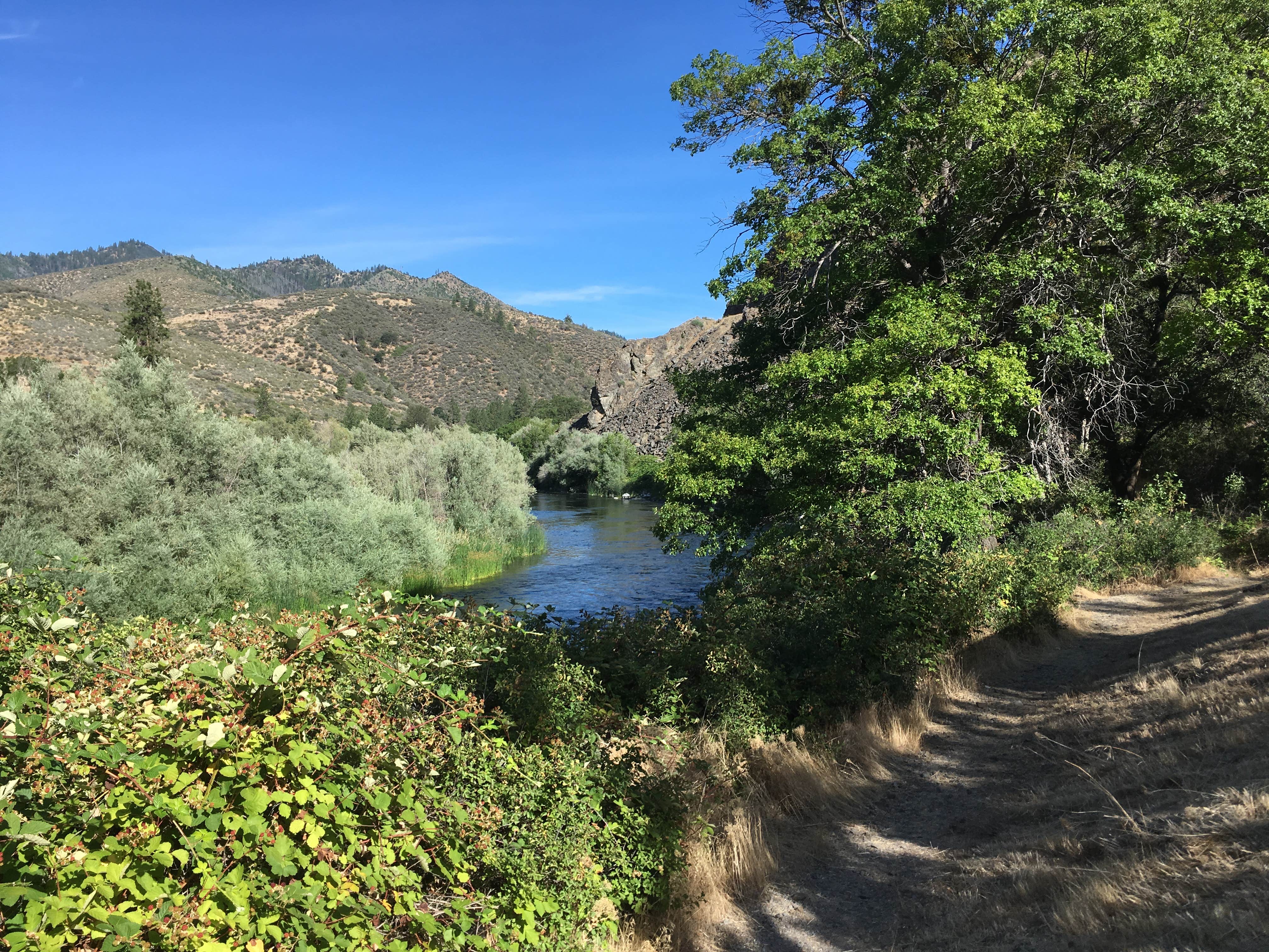 Camper submitted image from Tree Of Heaven Campground - 2