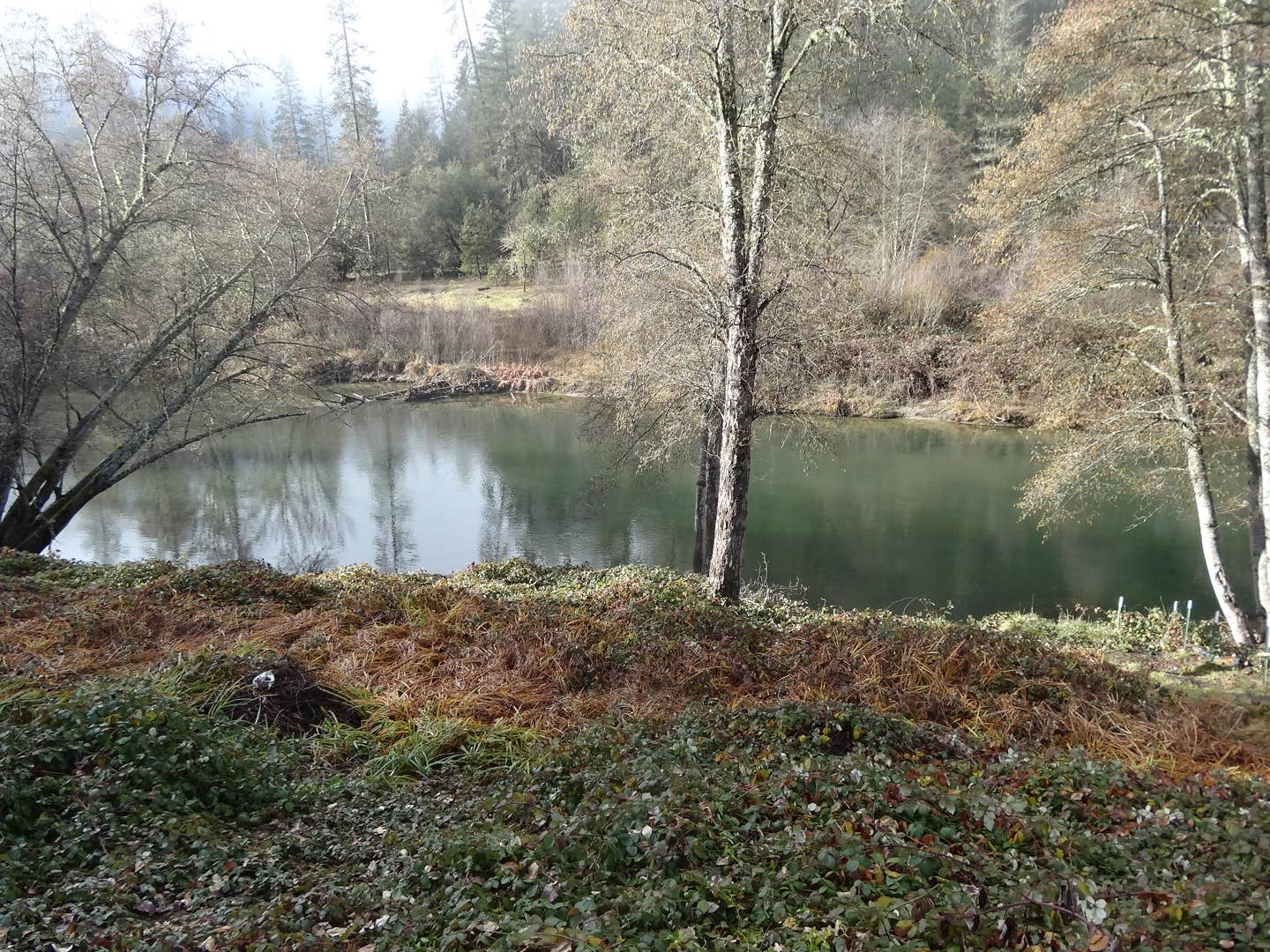 Camper submitted image from Trinity River Adventure Inn - 4